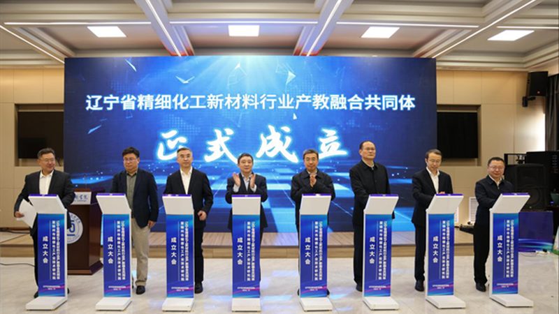 化工助剂配方定制：揭秘其背后的技术奥秘**