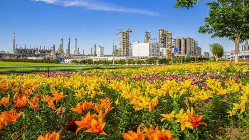 工业添加剂采购注意事项清单